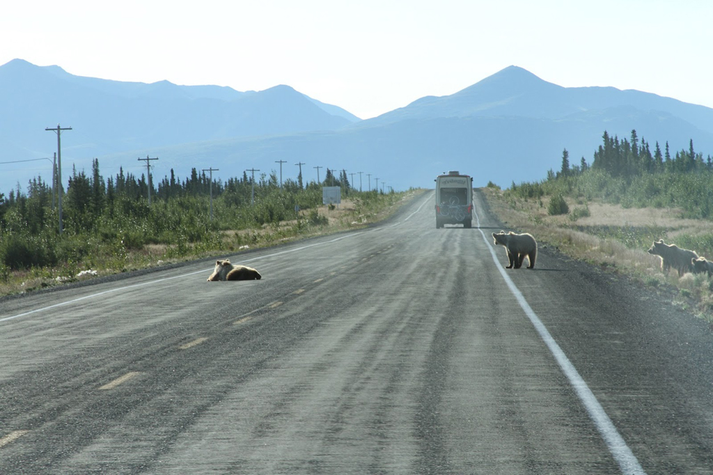 Destruction Bay (Alaska) NeoTours Tour Operator per Stati Uniti, Canada, Messico, Caraibi